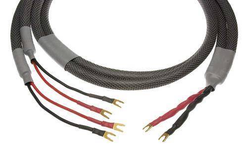 Acoustic Zen Satori Shotgun