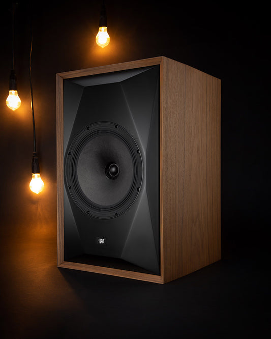 A New Speaker from a Rock Star Engineer!