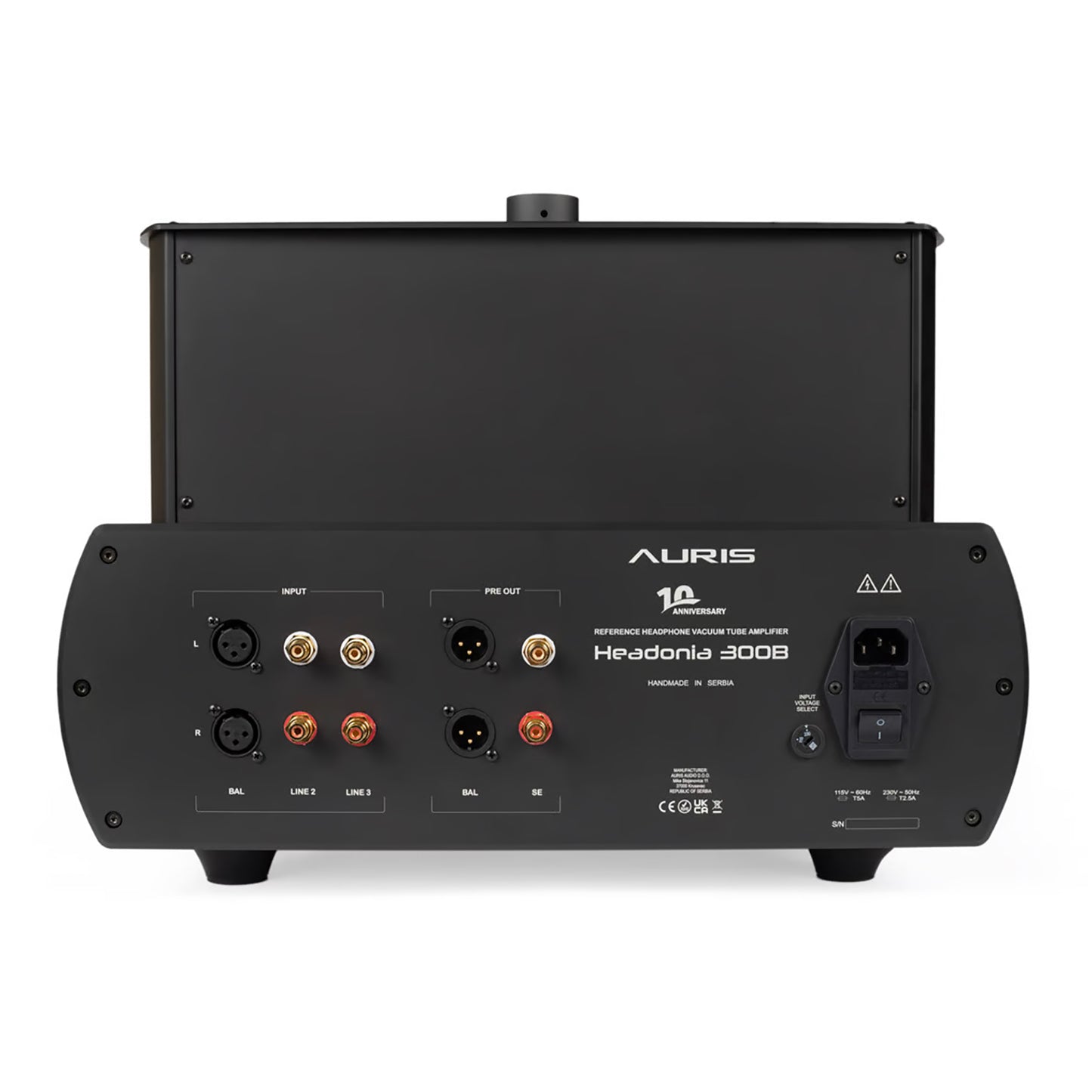 Auris Headonia 300B Headphone Amplifier