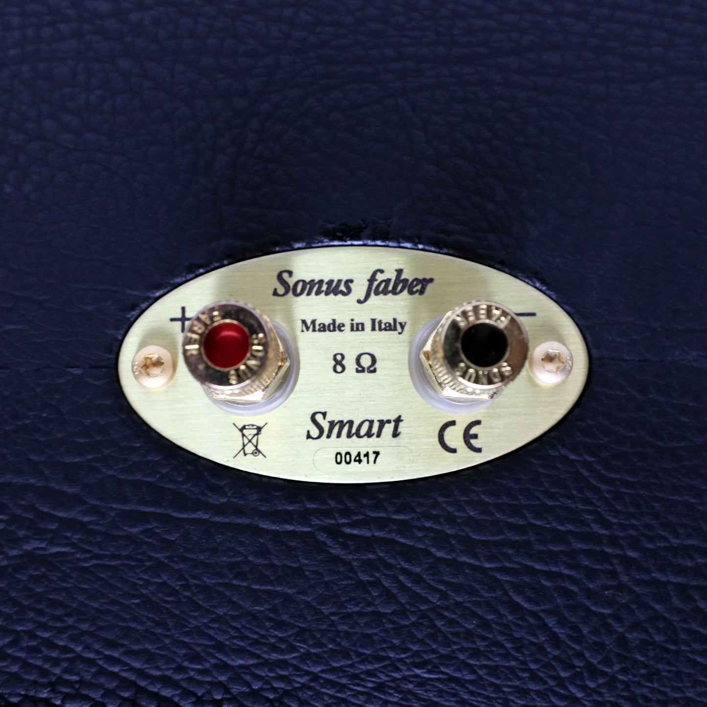 Sonus Faber Smart Center Channel Speaker (USED)