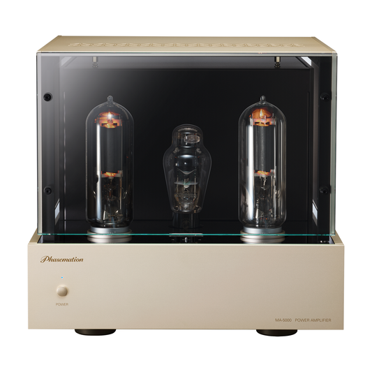 Phasemation MA-5000 Statement Monoblock Power Amplifier (pair)
