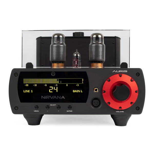 Nirvana11_c7a41dad-eaab-41d4-