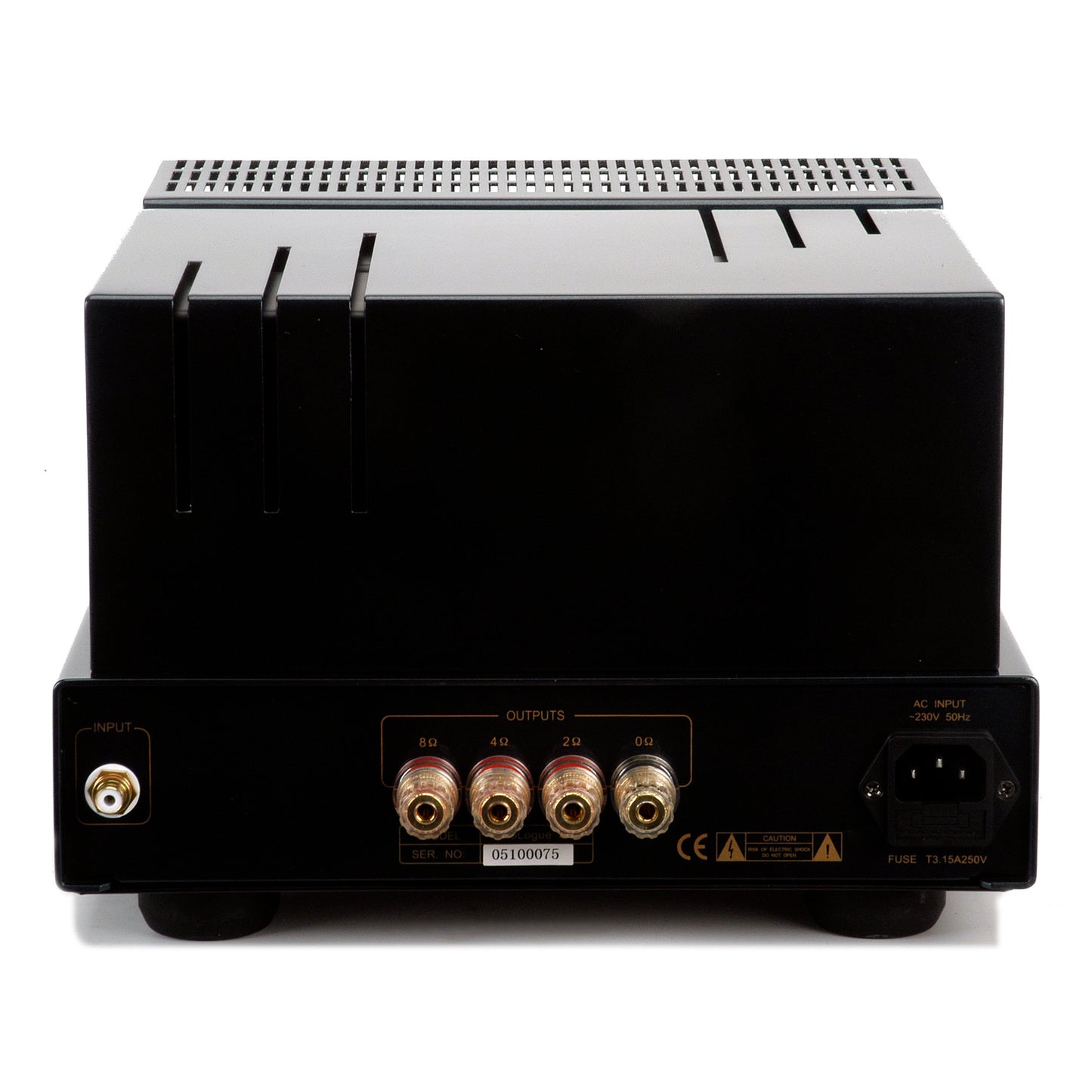 ProLogue Six Monoblock Amplifier (Single)